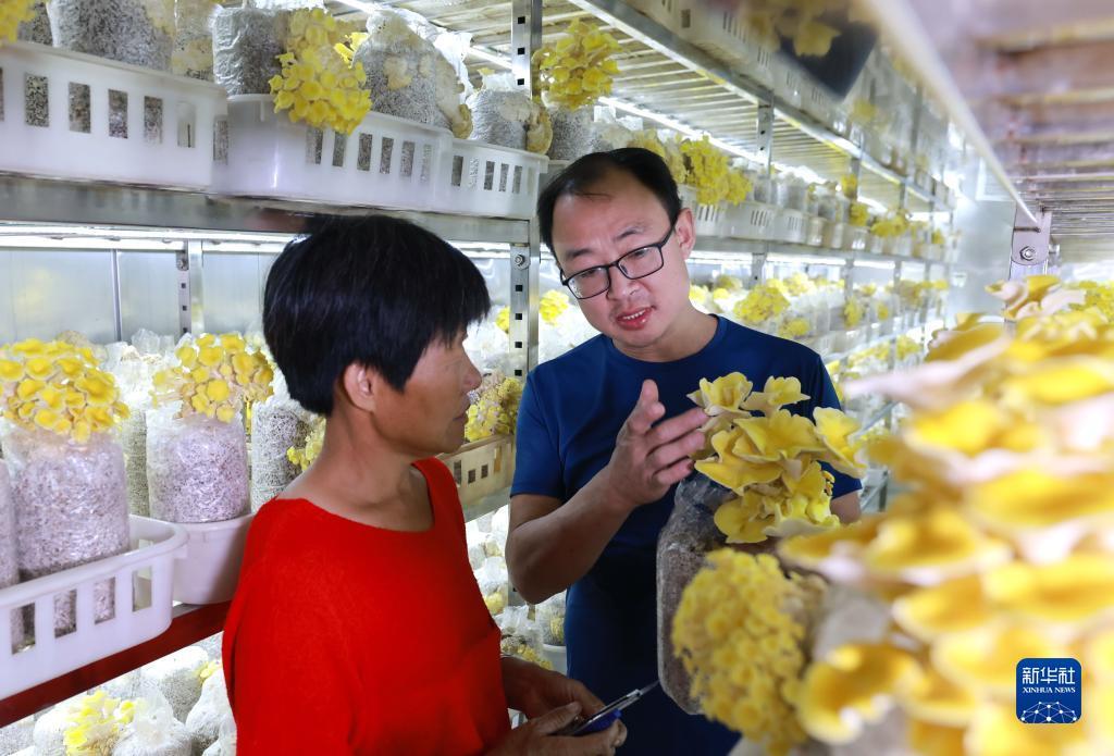 彩霸王综合资料论坛745888下载